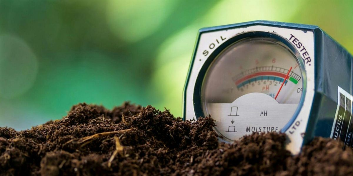 Down & Dirty: Soil Seminar