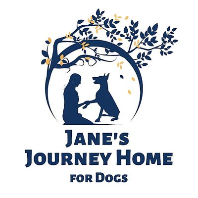 Jane's Journey Home for Dogs