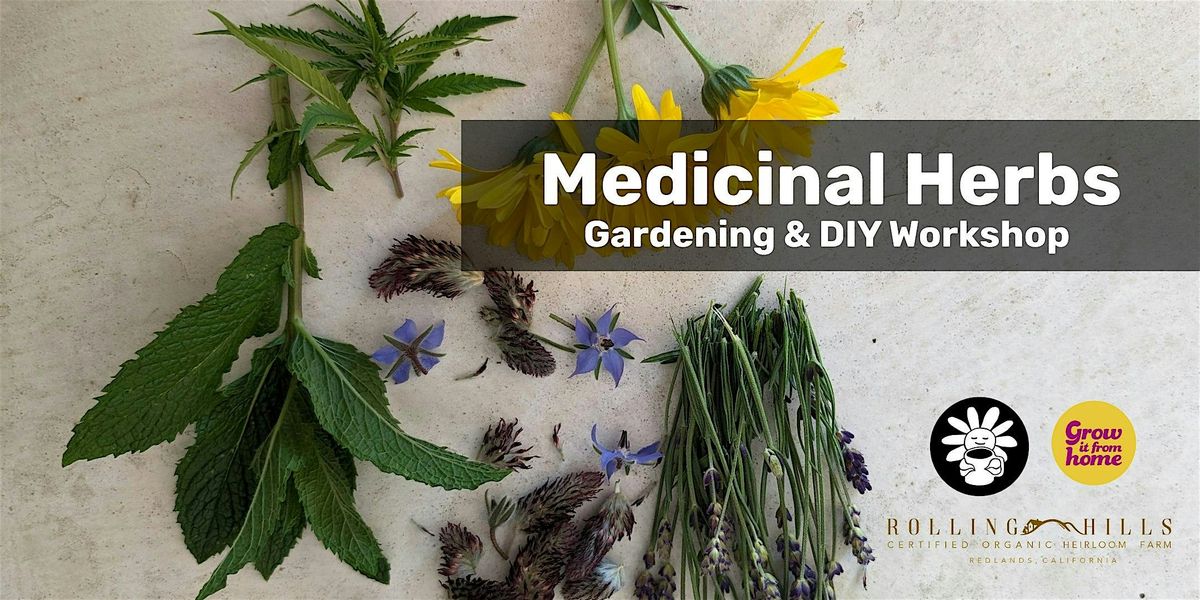 Medicinal Herbs Workshop with Emily & Carrie-Ann
