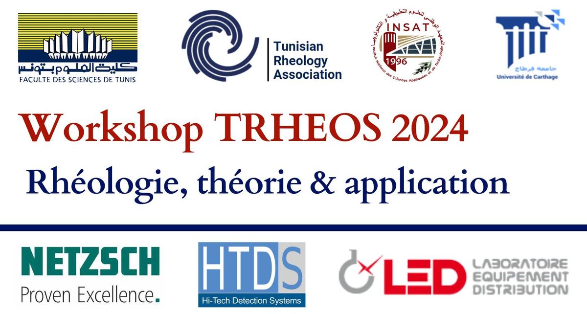 Workshop TRHEOS 2024