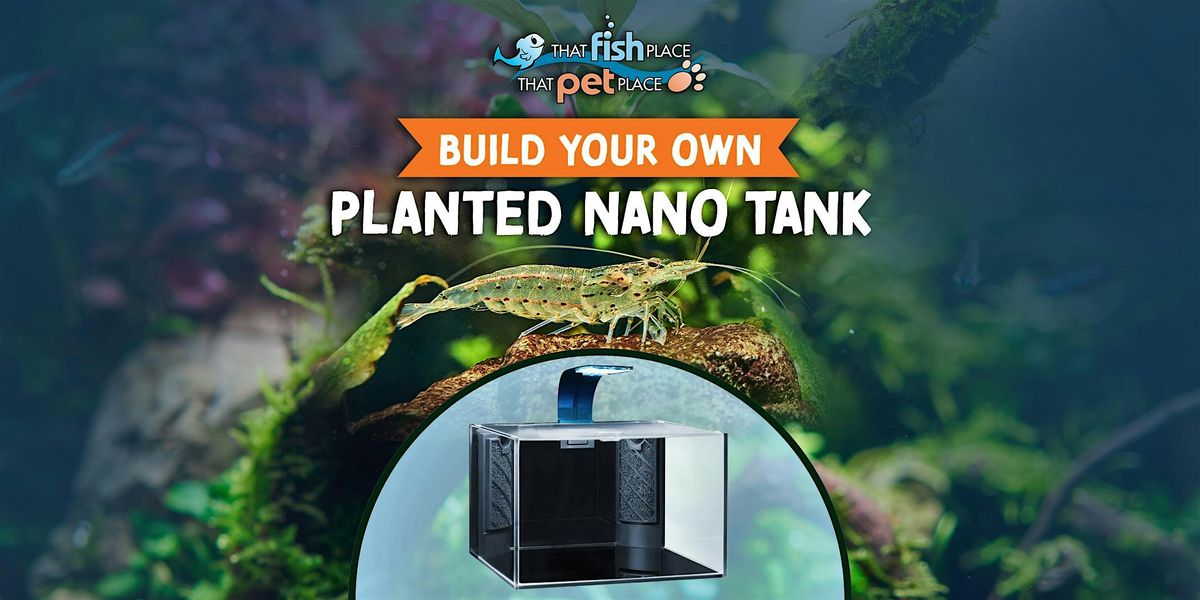 Build Your Own Planted Nano Tank