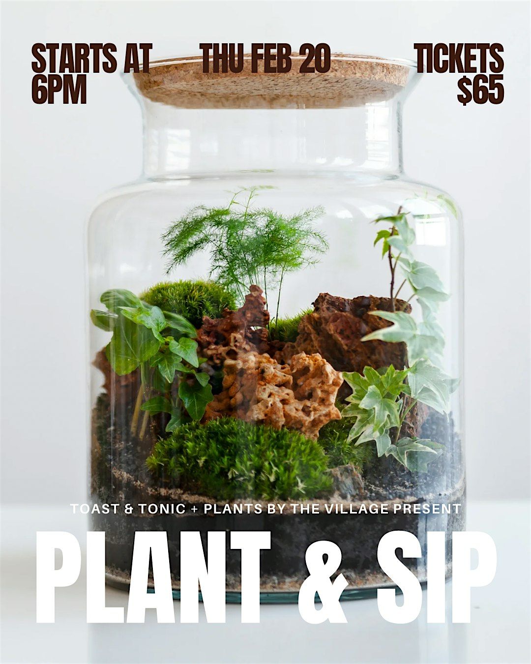 Terrarium Workshop