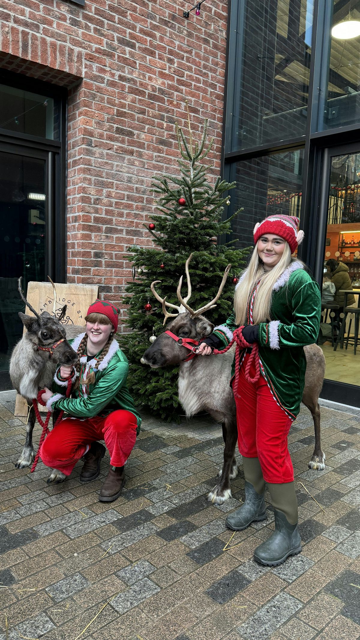 Reindeer Meet & Greet