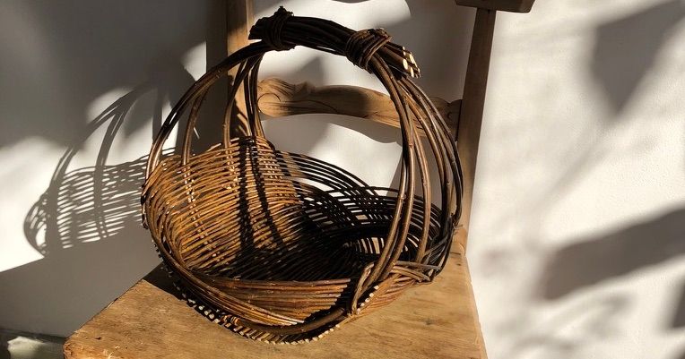 Willow Zarzo Basket