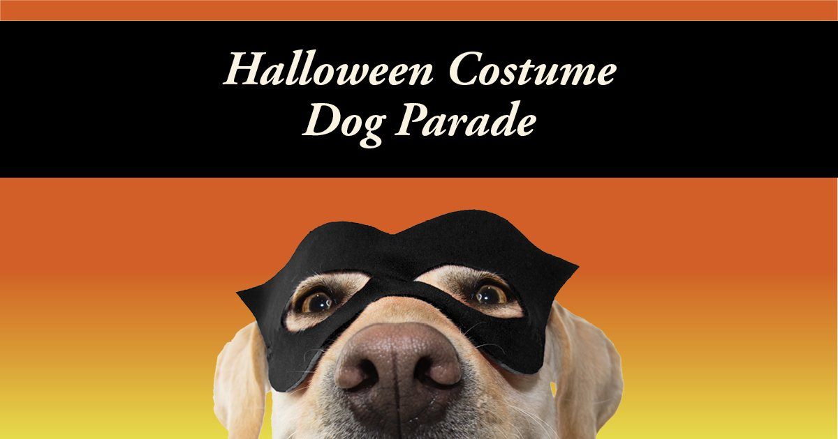 Halloween Costume Dog Parade