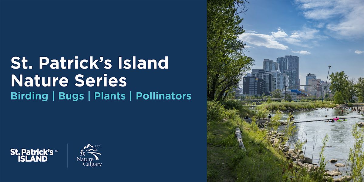 St. Patrick's Island Nature Series: BIRDING