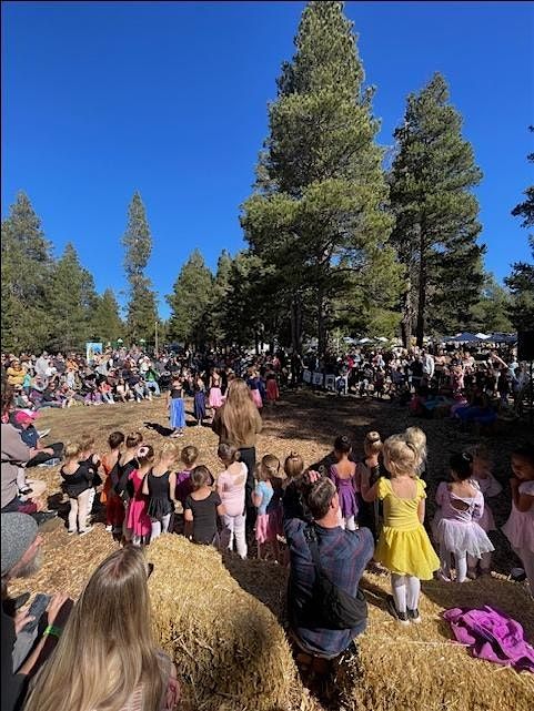 Meyers Mountain Fall Festival 2025