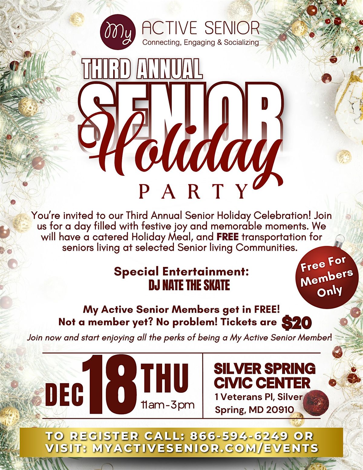 My Active Senior Holiday Party!