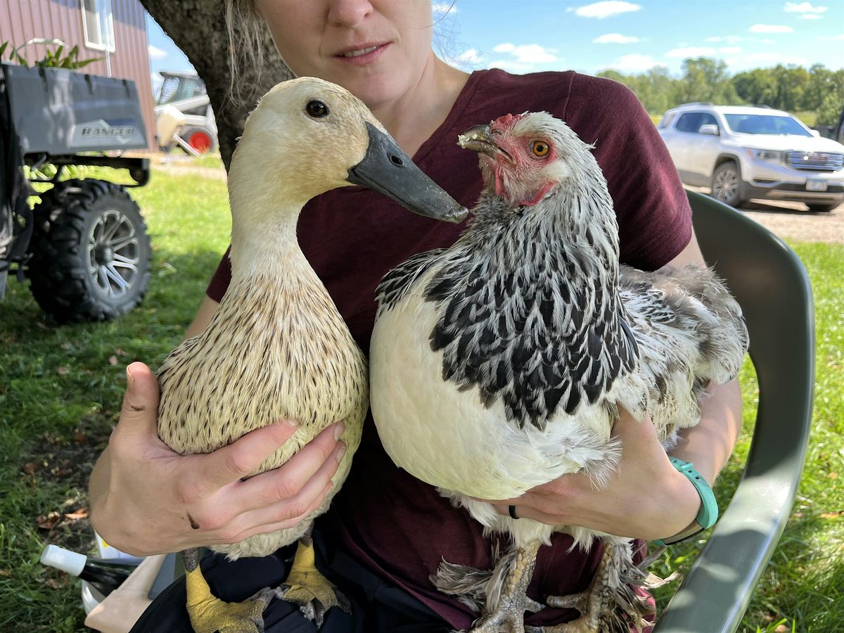Backyard Fowl Keeping Class
