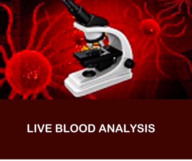 Live Blood Analysis One-on-One Sessions