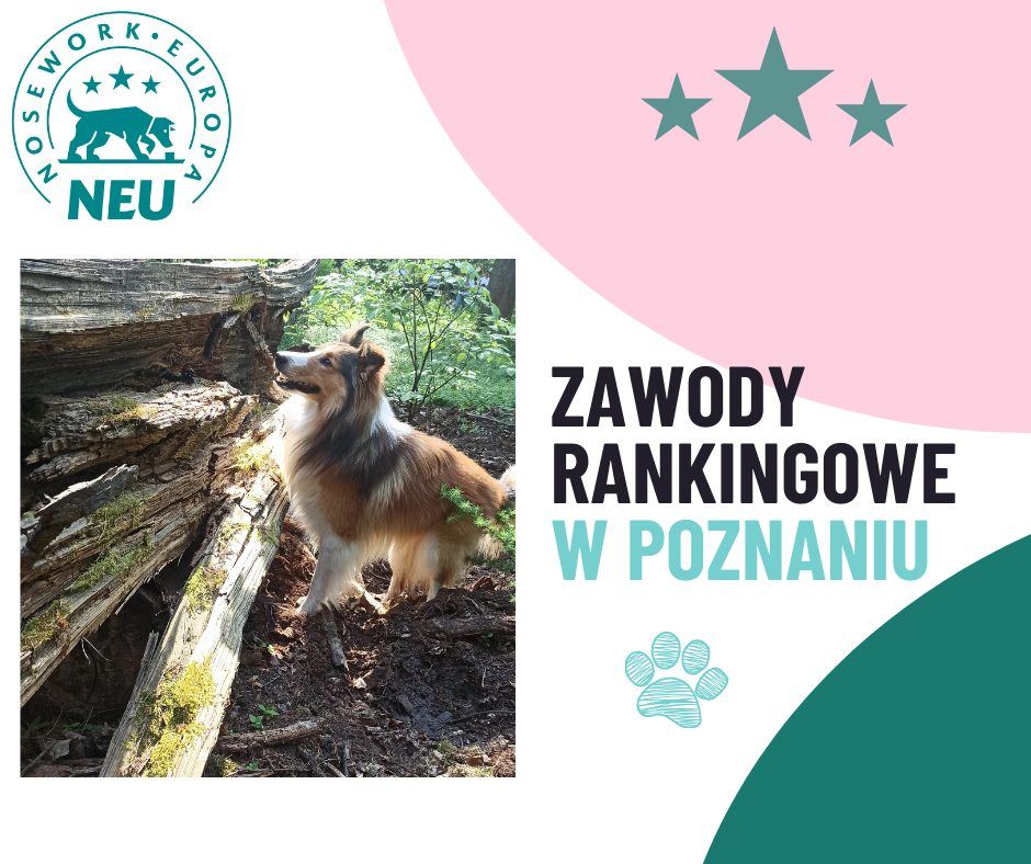 Zawody Rankingowe W Poznaniu