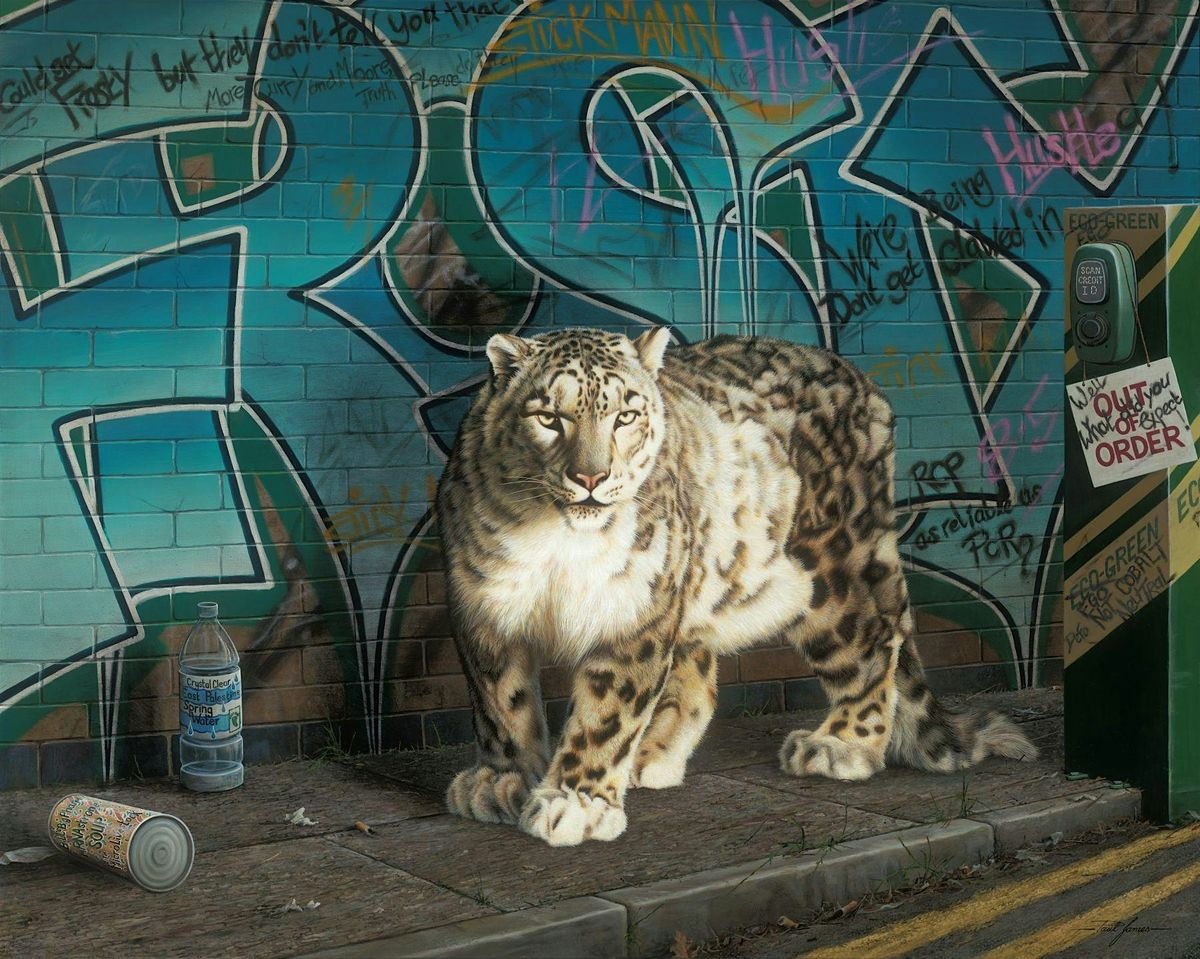 Wild Times | Paul James