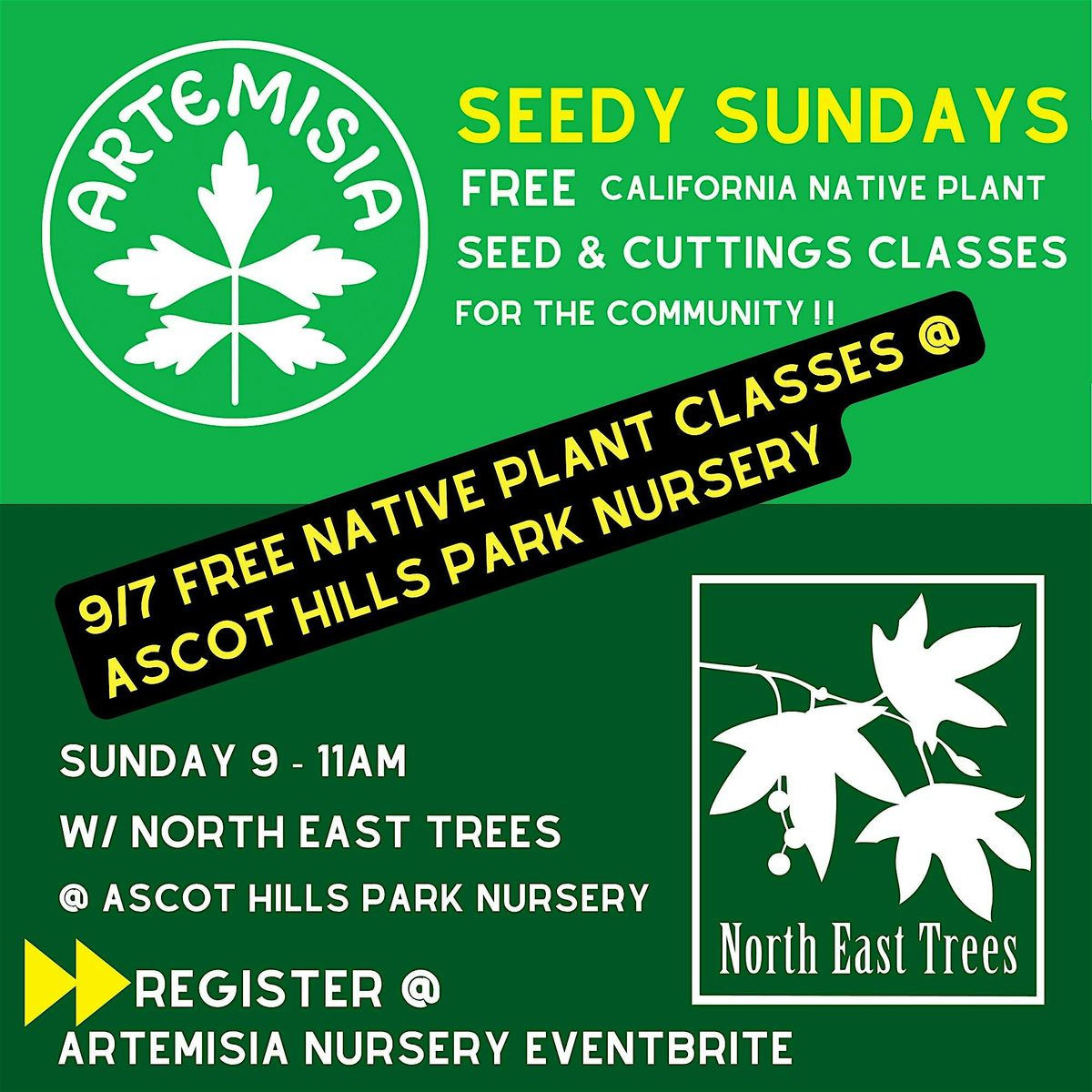 Native Plant & Seed Propogation Classes - FREE @ Ascot Hills Park
