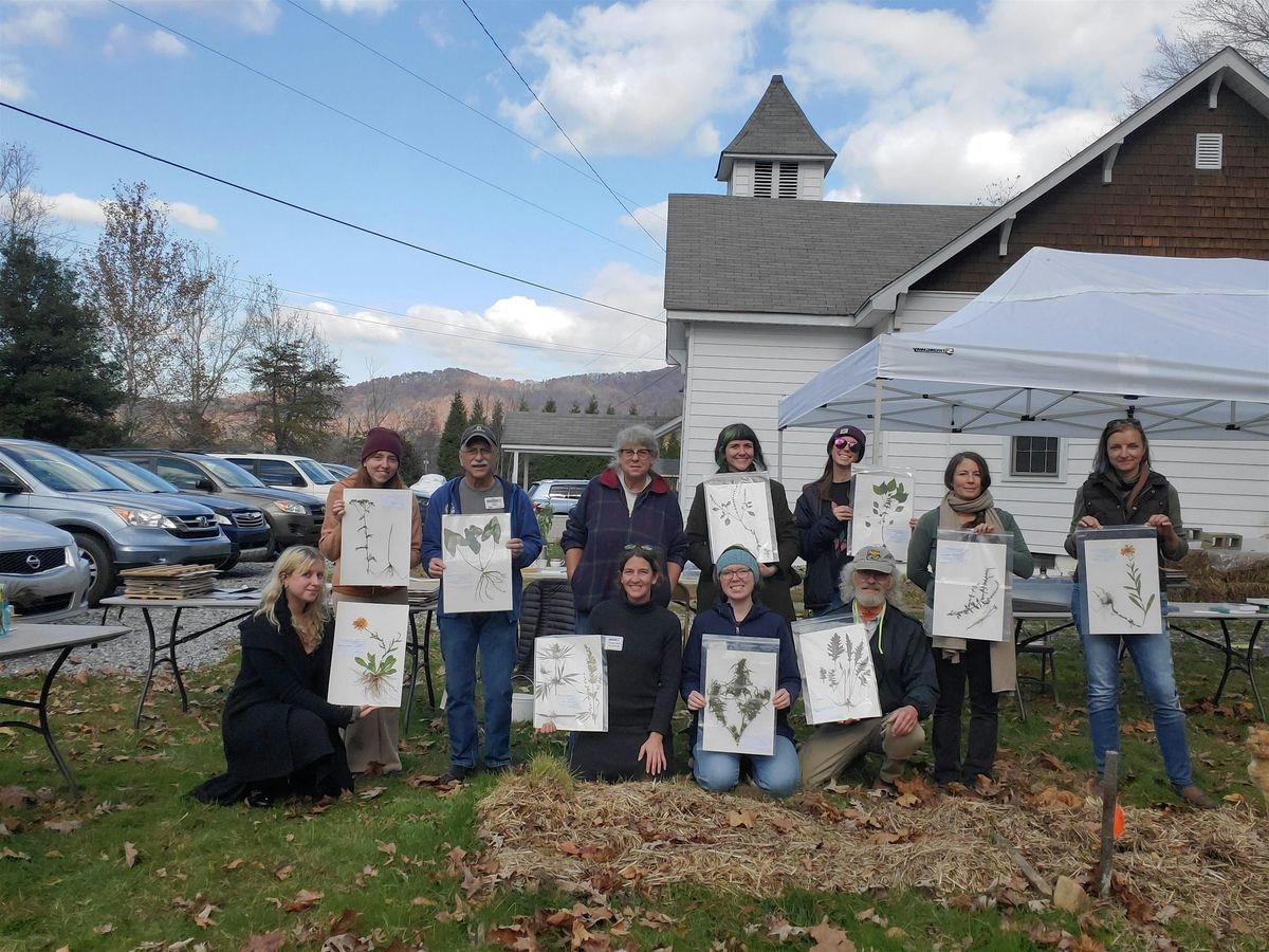 The Art and Science of Pressed Plant Vouchers