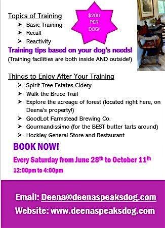 Every Saturday This Summer - Dog Training Meets Nature!