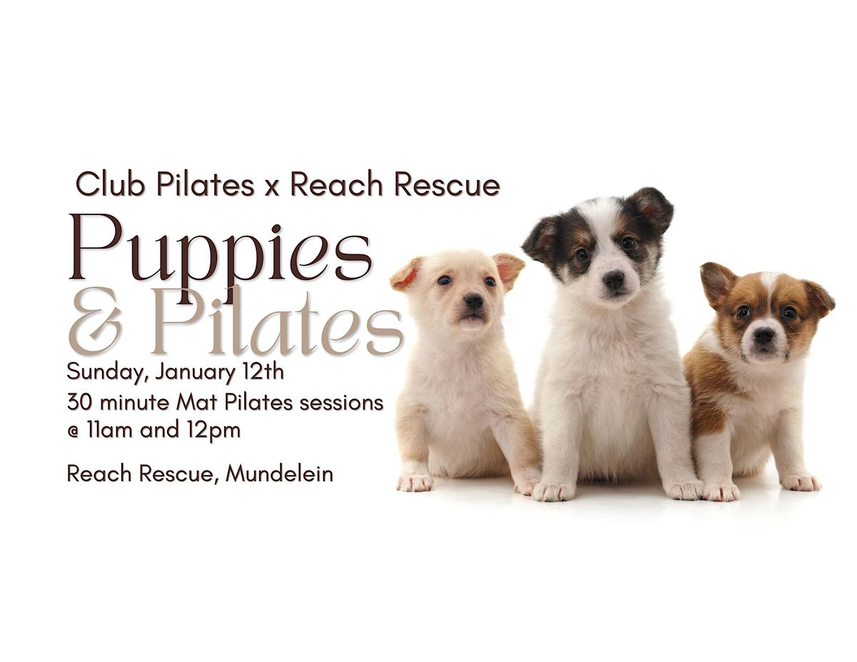 Puppies & Pilates