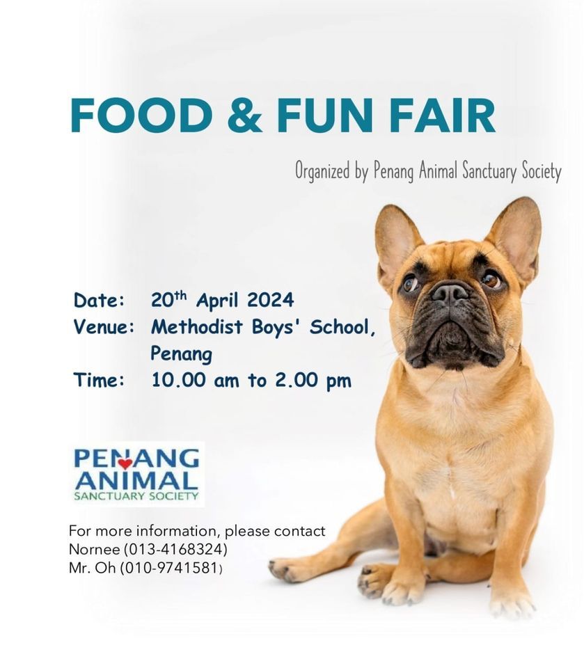 Food & Fun Fair