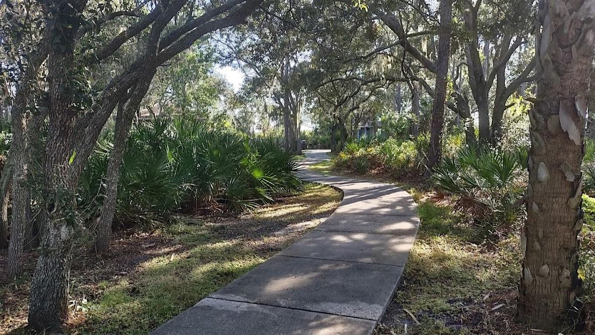 "Natives in Focus" Plant Walk