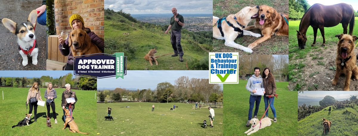 Improvers Group Dog training - 8 week block ongoing