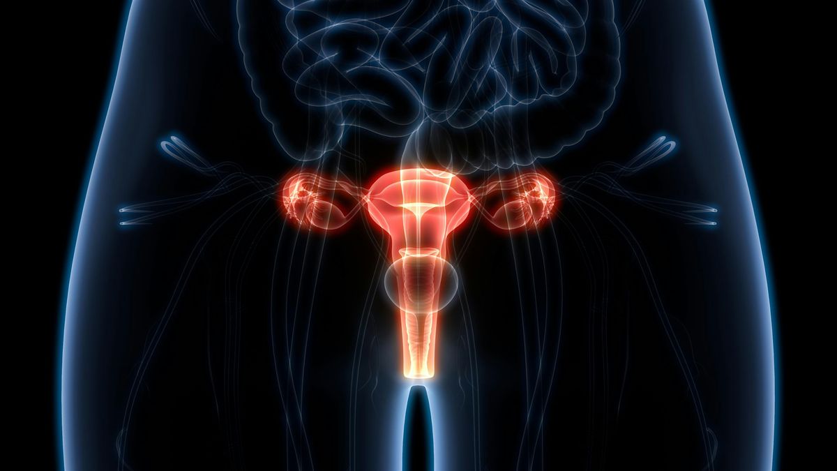 Gynaecology Study Day