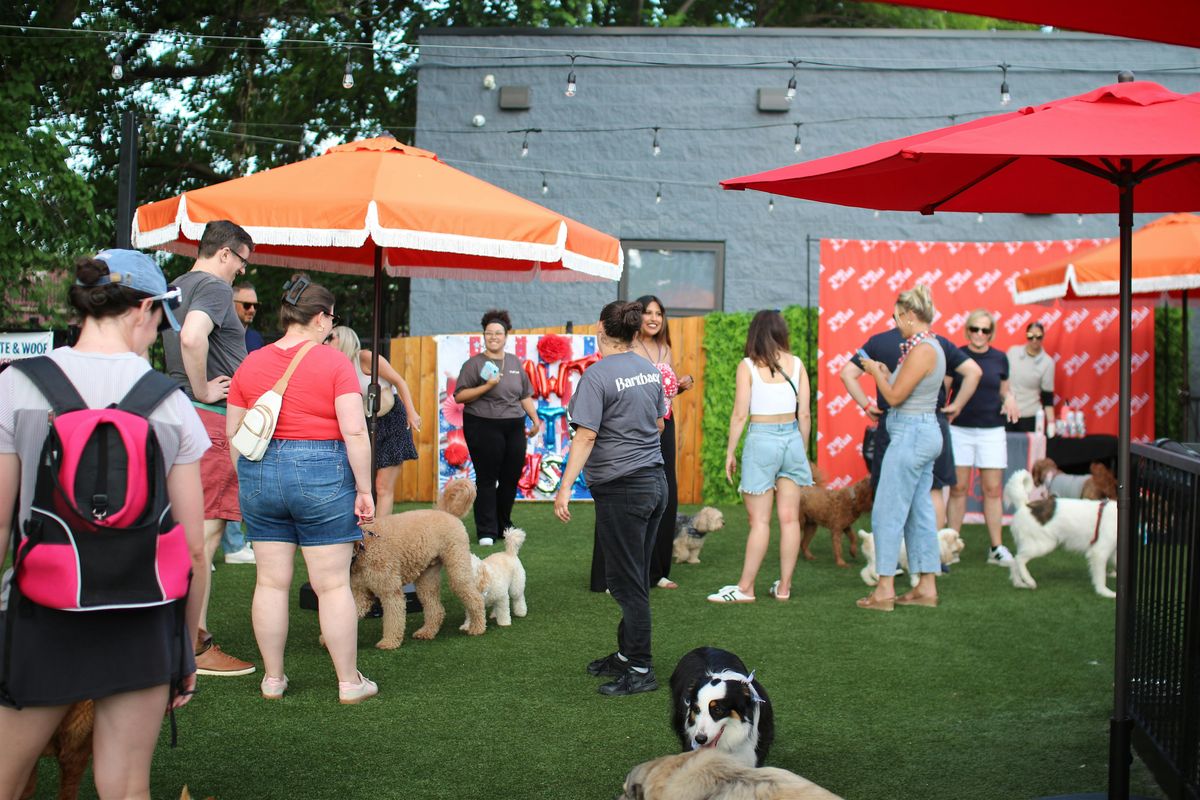 BARK TO SCHOOL BASH