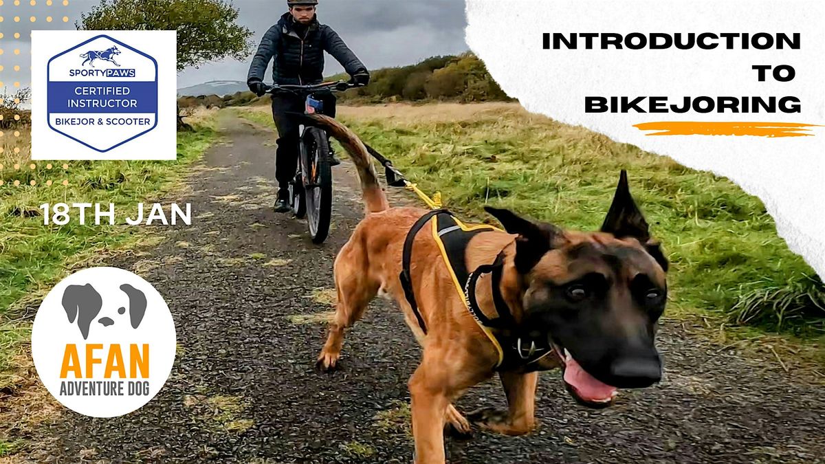 Introduction to Bikejoring & Dog Scootering