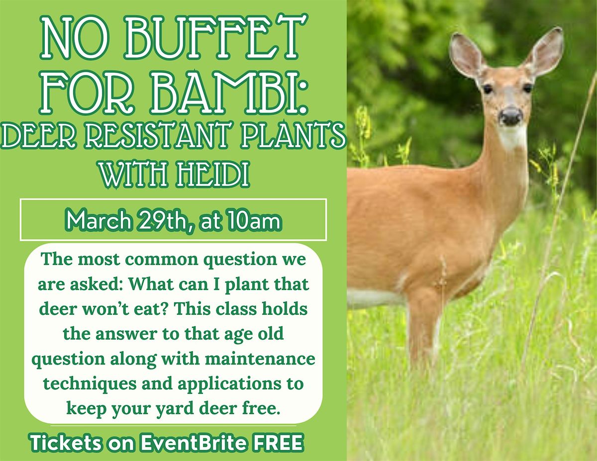 No Buffet for Bambi: Deer Resistant Plants with Heidi