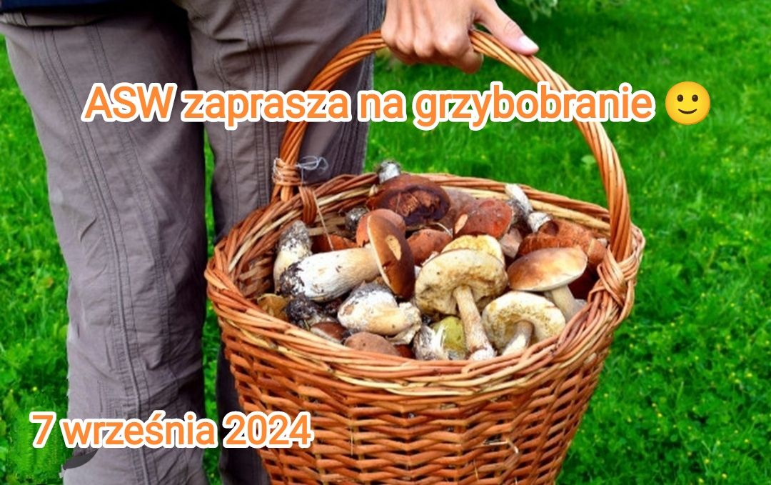 ASW zaprasza na grzyby \ud83d\ude42