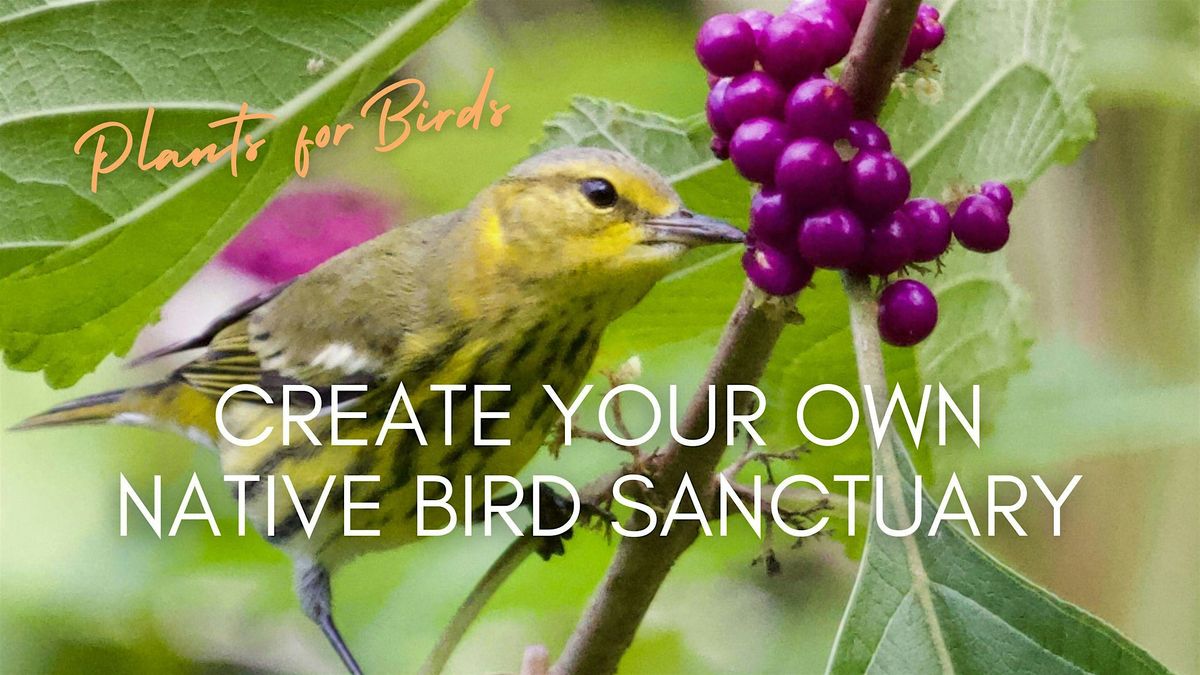 Create Your Own Bird Sanctuary