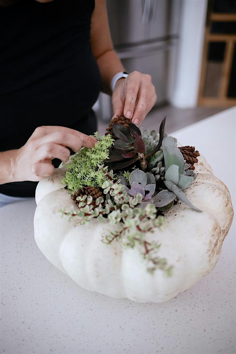 Succulent Pumpkin Centerpiece Workshop