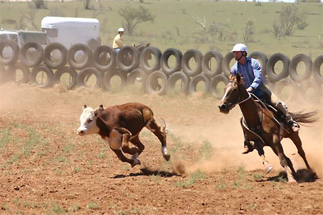 CARRIETON RODEO 2024, SA