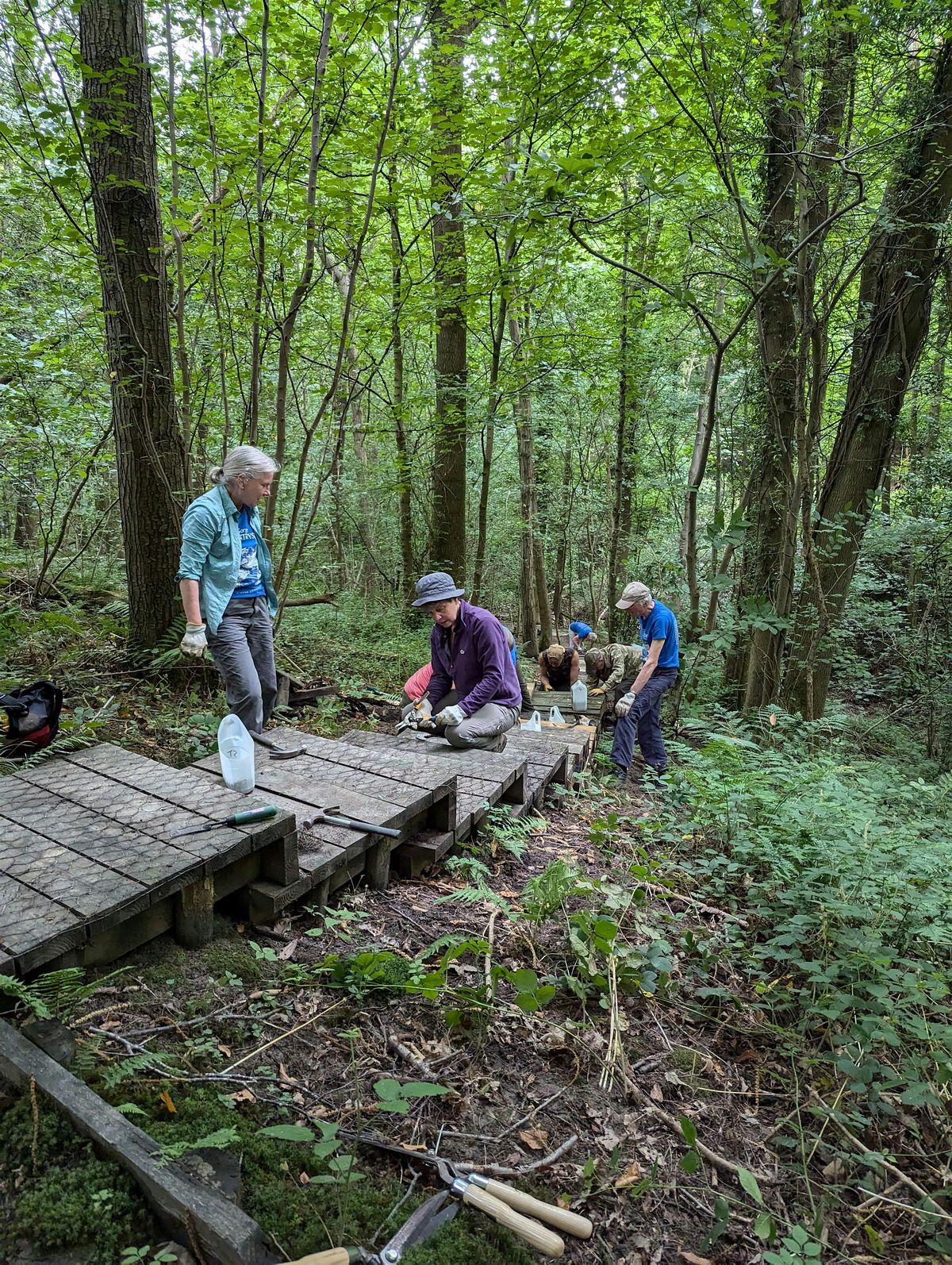 Volunteering @ Lydebrook Dingle