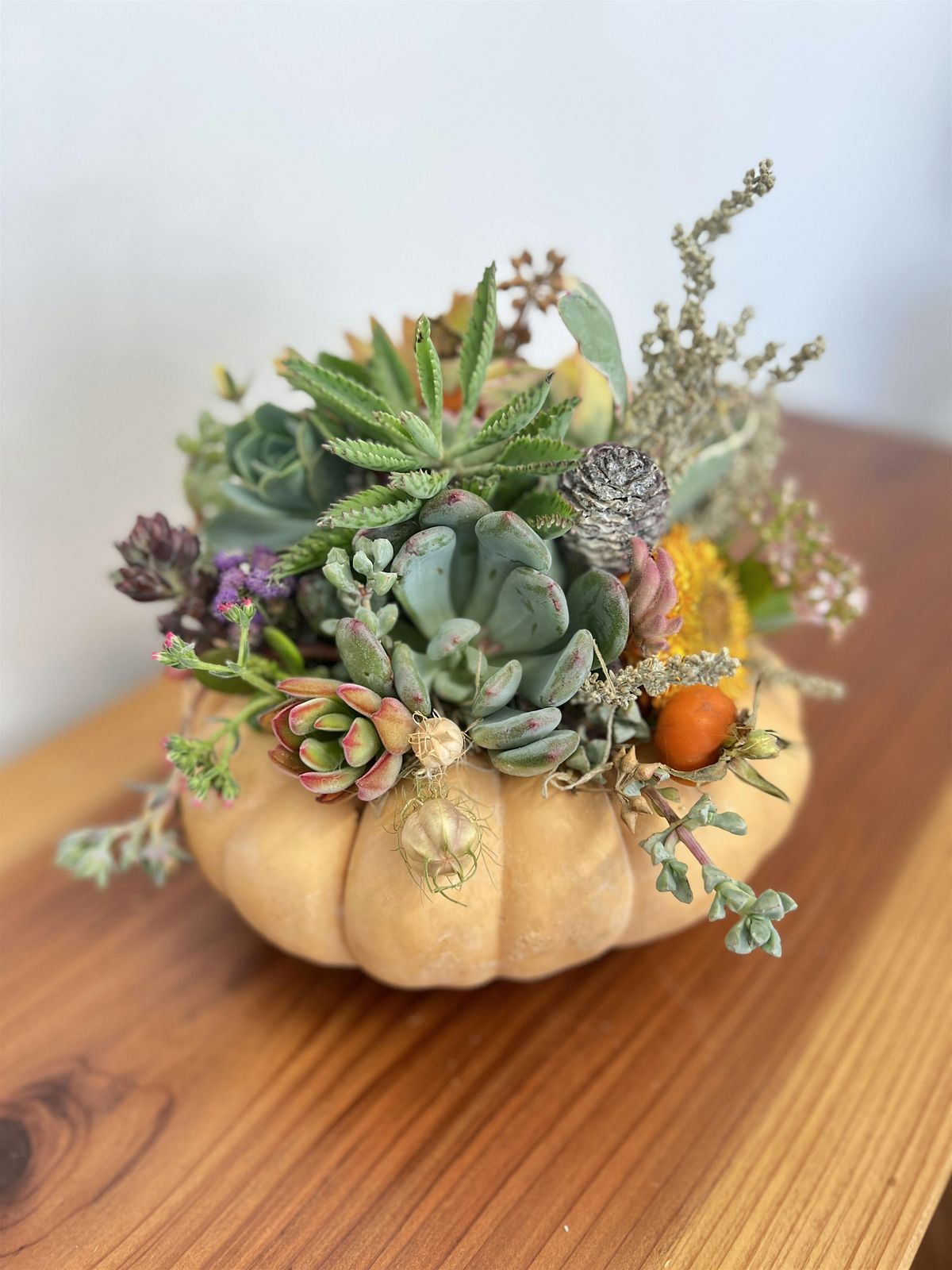 Succulent Pumpkin Class-Perfect for Thanksgiving!