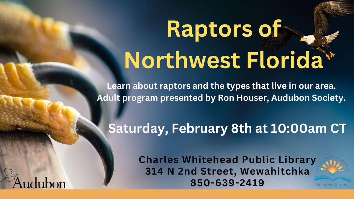 Raptors of Northwest Florida