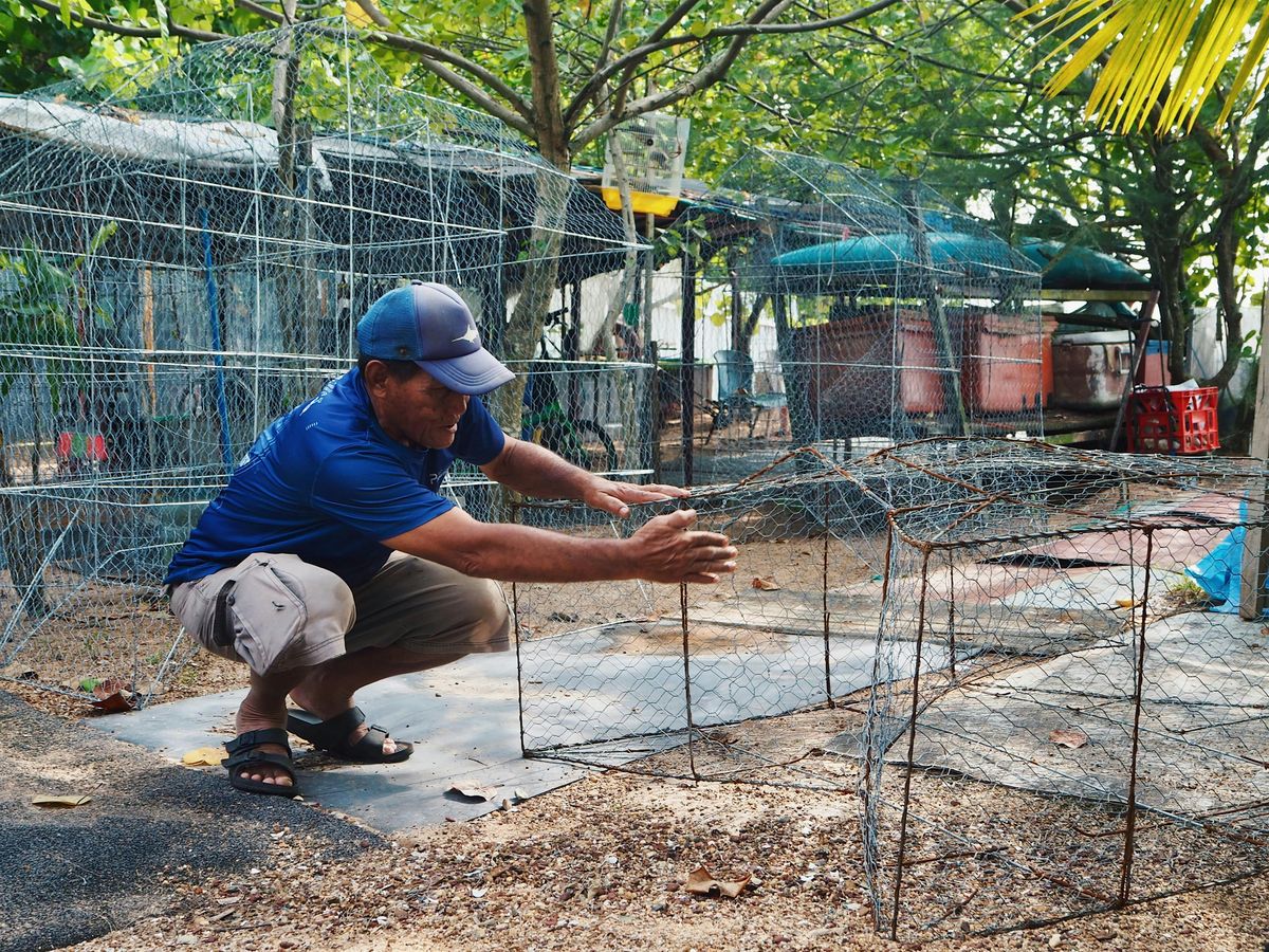 Coastal Walk, Food and Stories by Singapore's Indigenous Community