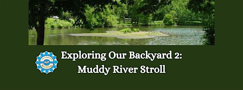 Exploring Our Backyard: Muddy River Stroll