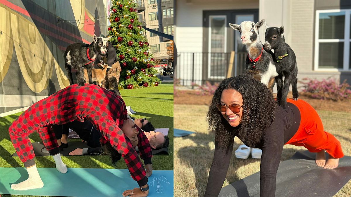 Goat Yoga in the Garden Courtyard