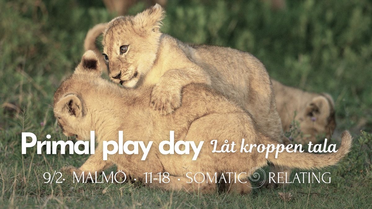 PRIMAL PLAY DAY