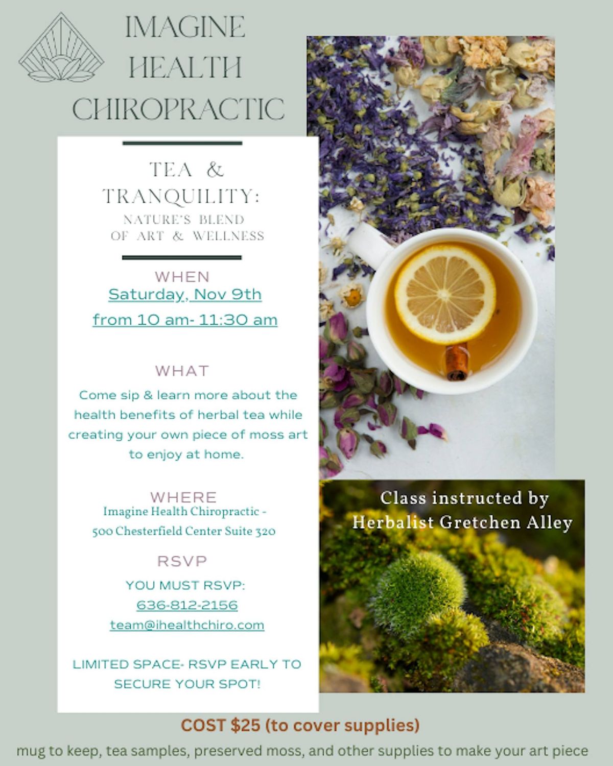 Tea & Tranquility: Nature's Blend of Art & Wellness Workshop