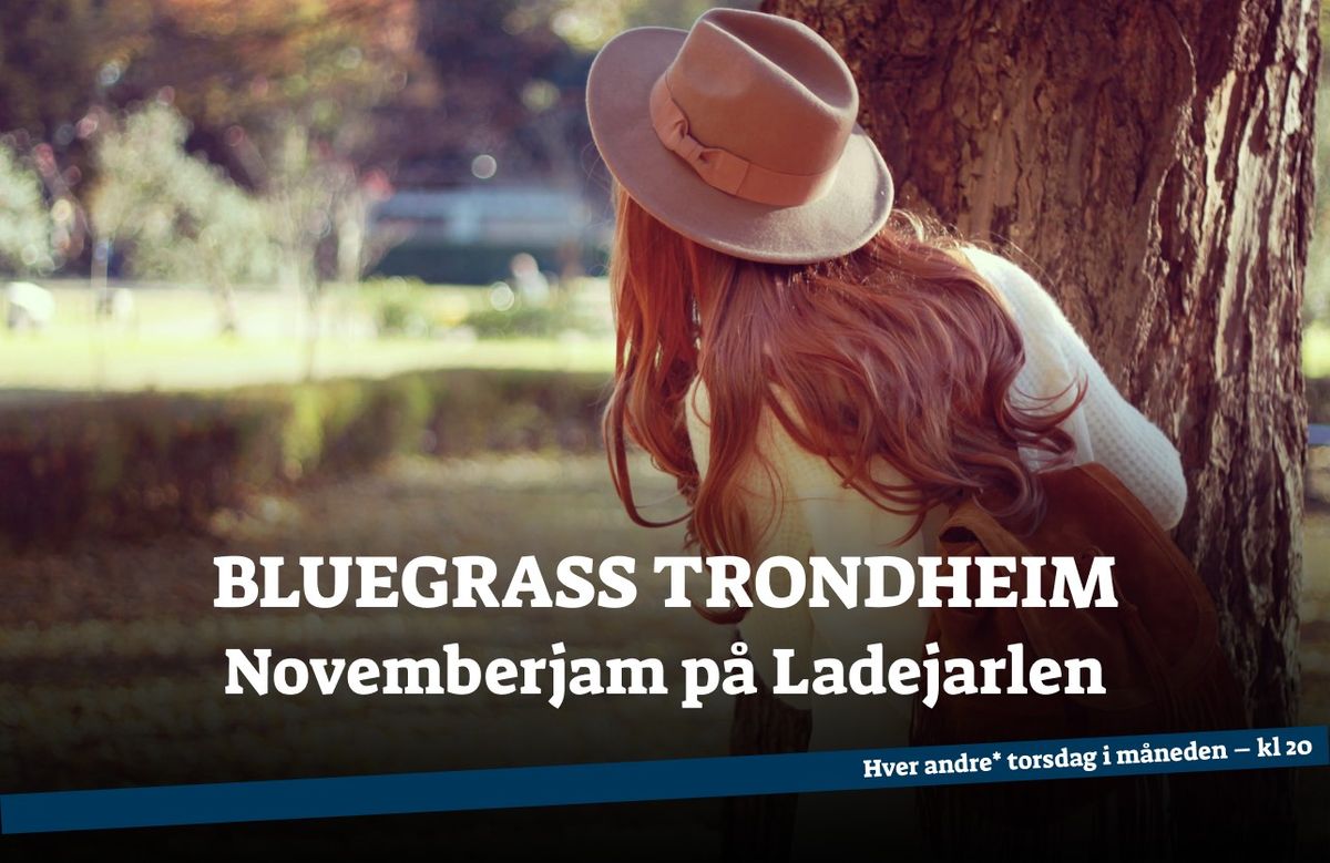 Bluegrass Jam November