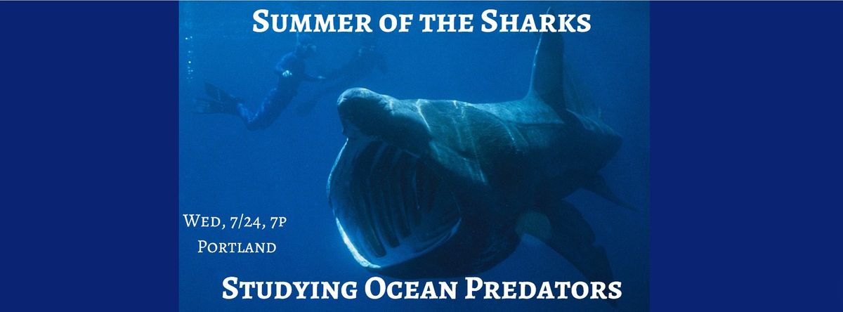 Summer of the Sharks: Studying Ocean Predators