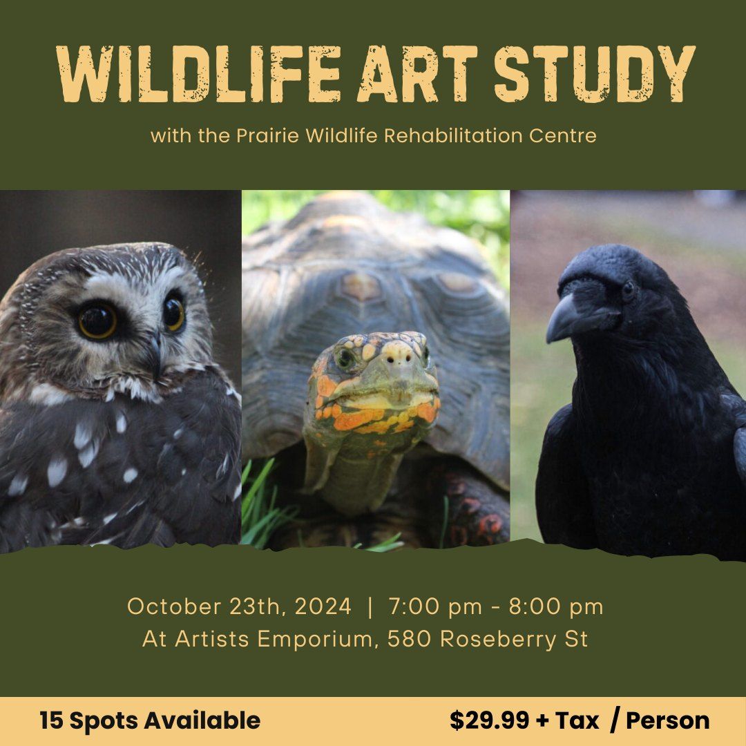 Wildlife Art Study