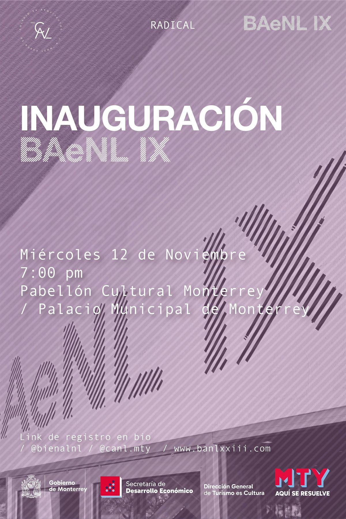 BAeNL IX