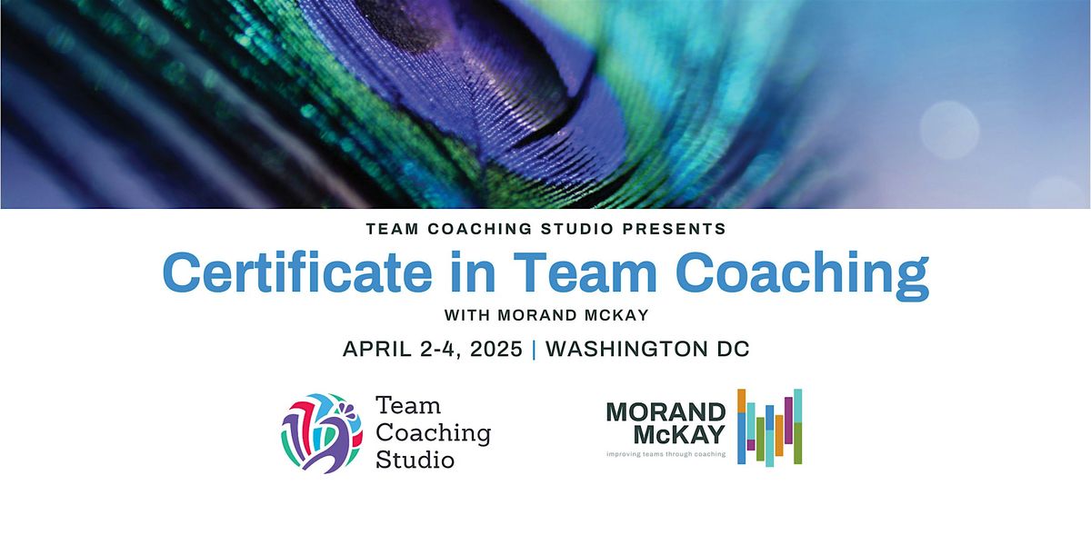 Certificate in Team Coaching