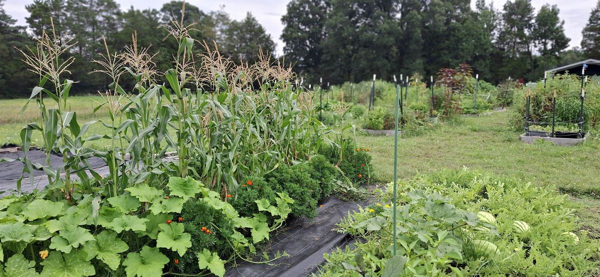 Open Volunteer at Arcadia's Route 1 Community Farm