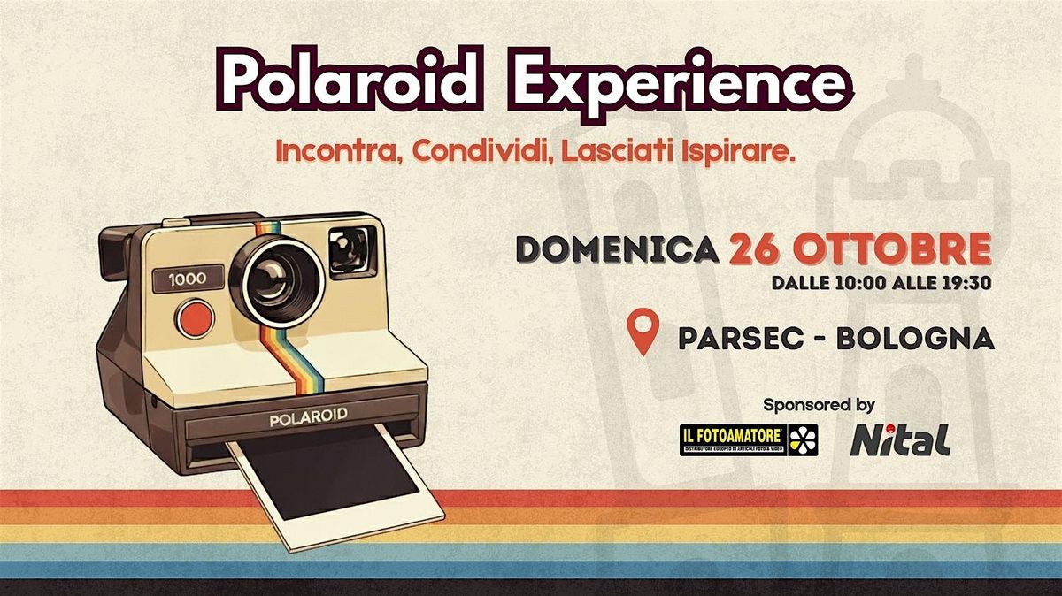 Polaroid Experience