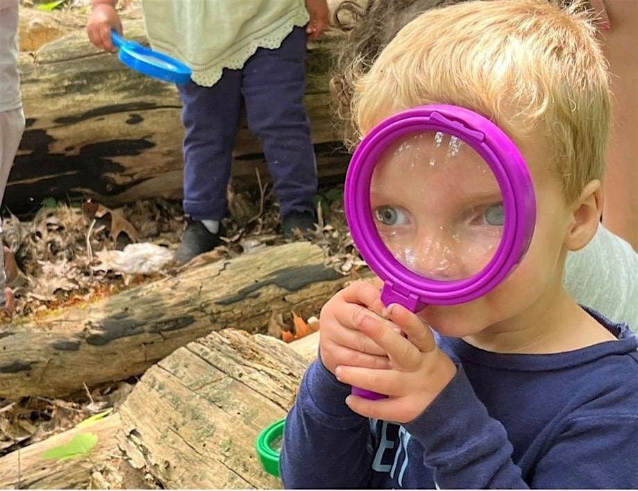 Family Hike en el Bosque con La Escuelita Arcoiris