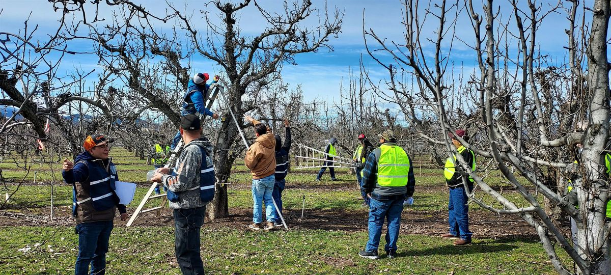 Supervisory Skills and Leadership Training (Spanish)