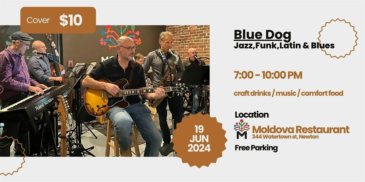 Blue Dog-  Jazz, Funk, Latin and Blues