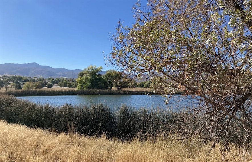 Bird Walk at Golden Hills Nature Park